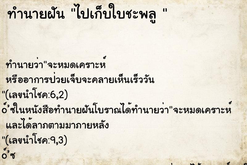 ทำนายฝัน ไปเก็บใบชะพลู 